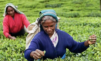 Sri Lanka Turu - Air Arabia ile