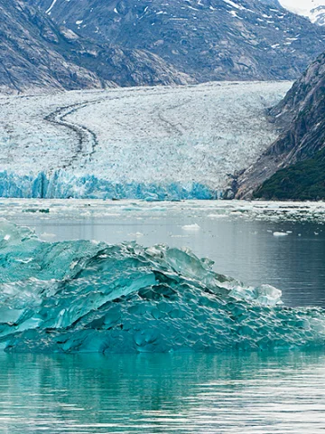 Alaska Gemi Turları