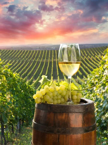 Seine Nehri Turları