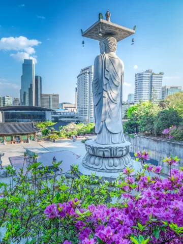 Güney Kore Turları