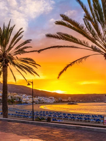 Kanarya Adaları Gemi Turları