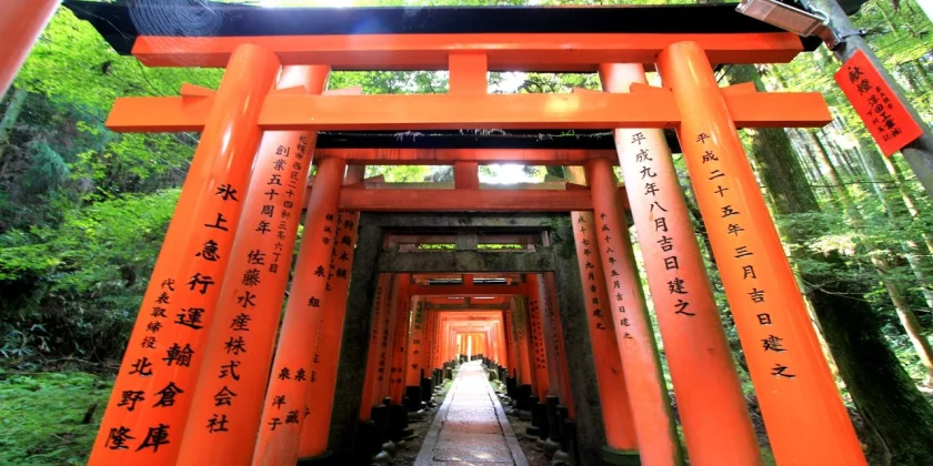 Japonya Turu - 7 Gece - THY ile